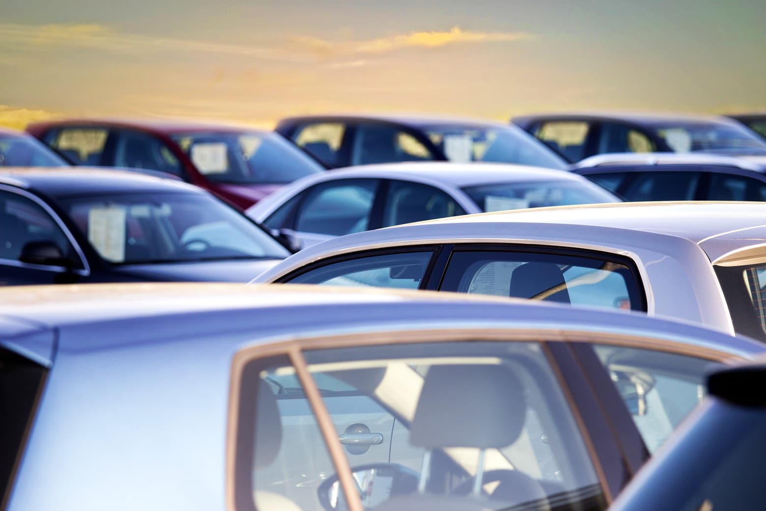 Inchcape anuncia sus resultados financieros 2025 destacando la contribución de la región de Américas